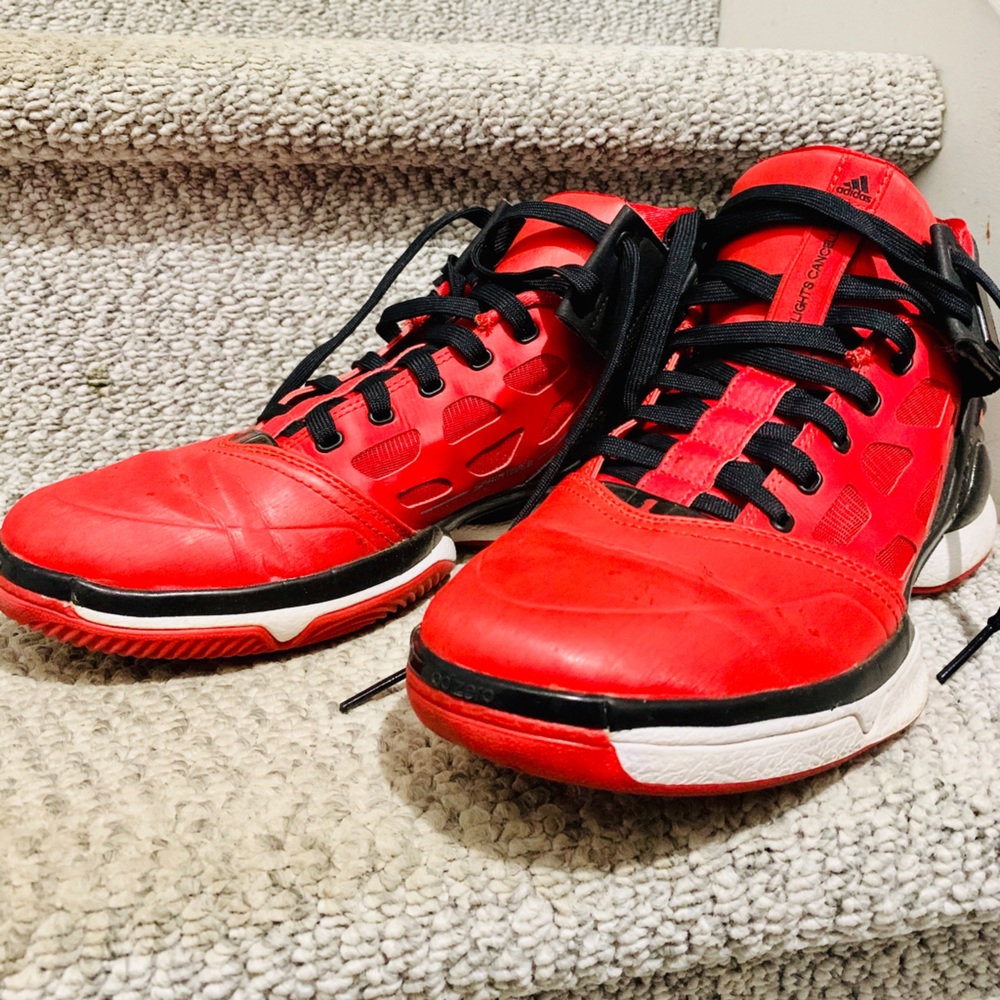 Derrick Rose adizero rose 2 flights cancelled